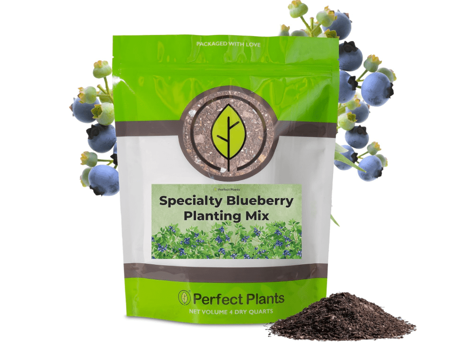 
Specialty Blueberry Potting Mix by Perfect Plants | Organic Premium Mix | Use with Blueberry's, Raspberry, or Other Fruit S