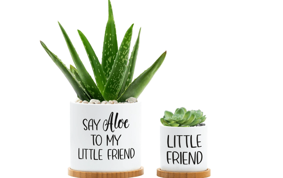 
Tuitessine Say Aloe to My Little Friend Planter Plant Lover Set of 2 Spring Funny Pun Flower Pot with Bamboo Tray Ceramic Indoor Succulent Hole Spring
