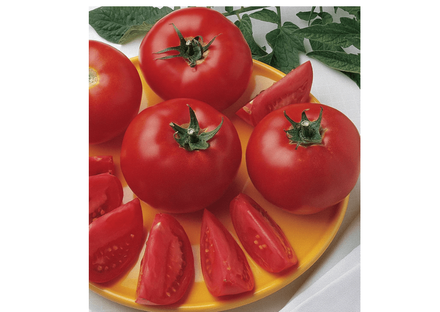 Burpee 'Bush Early Girl' Hybrid Slicer Tomato