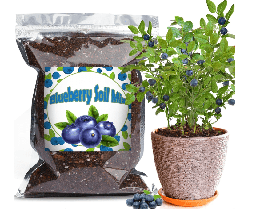 
Doter Organic Blueberry Soil Mix, Indoor Plants Potting Mix for All Potted Blueberry, Grow Healthy
