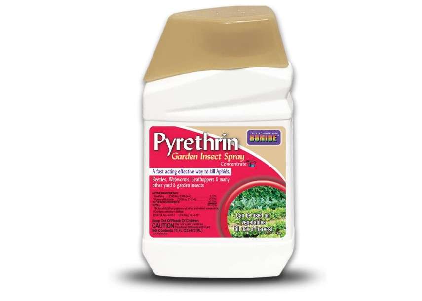 
Bonide Pyrethrin Garden Insect Spray Concentrate, 16 oz Ready-to-Mix Fast Acting Insecticide for Outdoor Garden Use