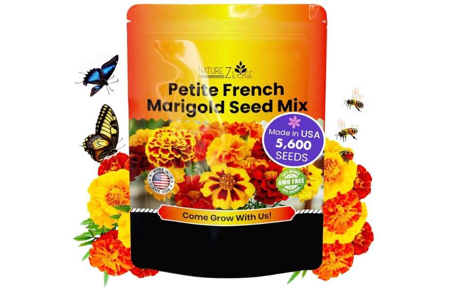 
NatureZ Edge Marigold Seeds Mix, Over 5600 Seeds, Marigold Seeds for Planting Outdoors, Dainty Marietta, Petite French, Sparky French, and More