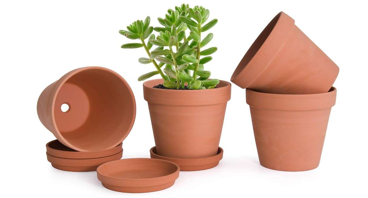 
D'vine Dev Terracotta Pots Set, 6-Inch Terra Cotta Pots with Saucers & Tray, Ideal for Plants & Succulents