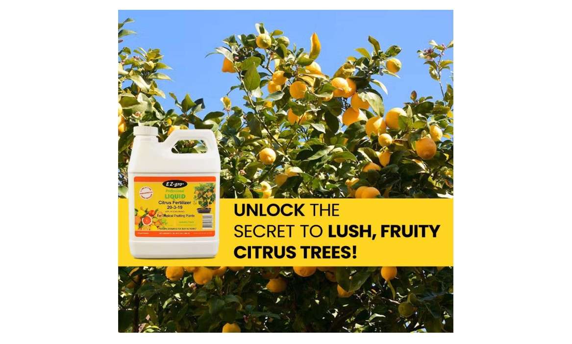 EZ-GRO 20-3-19 Citrus Fertilizer - Liquid Fertilizers for Indoor Plants | Liquid Plant Food for Tropical Fruit | Perfect for Orange, Lemon, Mango