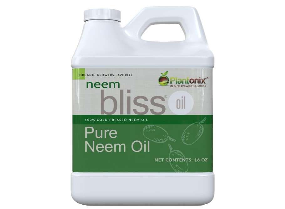 
Neem Bliss (16 Fl Oz) - Pure Neem Oil Concentrate - 100% Cold Pressed Neem Oil - All-Natural Neem Oil Concentrate - Pure Neem Oil Extract - Unrefined Neem