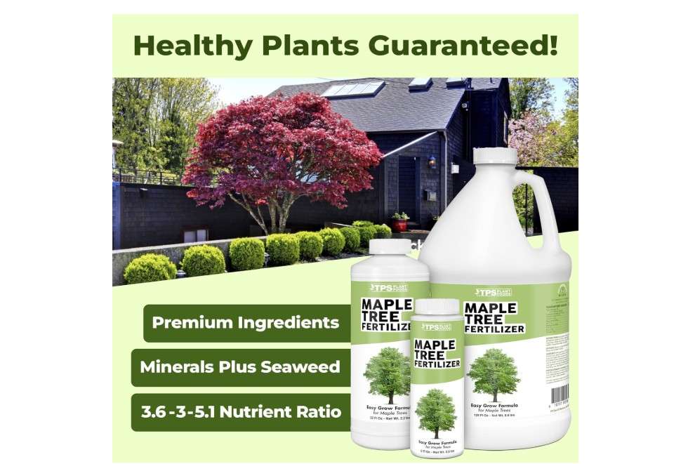  Maple Tree Fertilizer, Complete Liquid Maple Tree Plant Food, 32 oz (1 Quart)