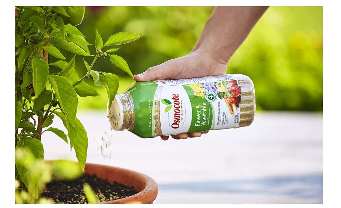  Osmocote Smart-Release Plant Food Flower & Vegetable, Plant Fertilizer, 2 lbs. (12-Pack)