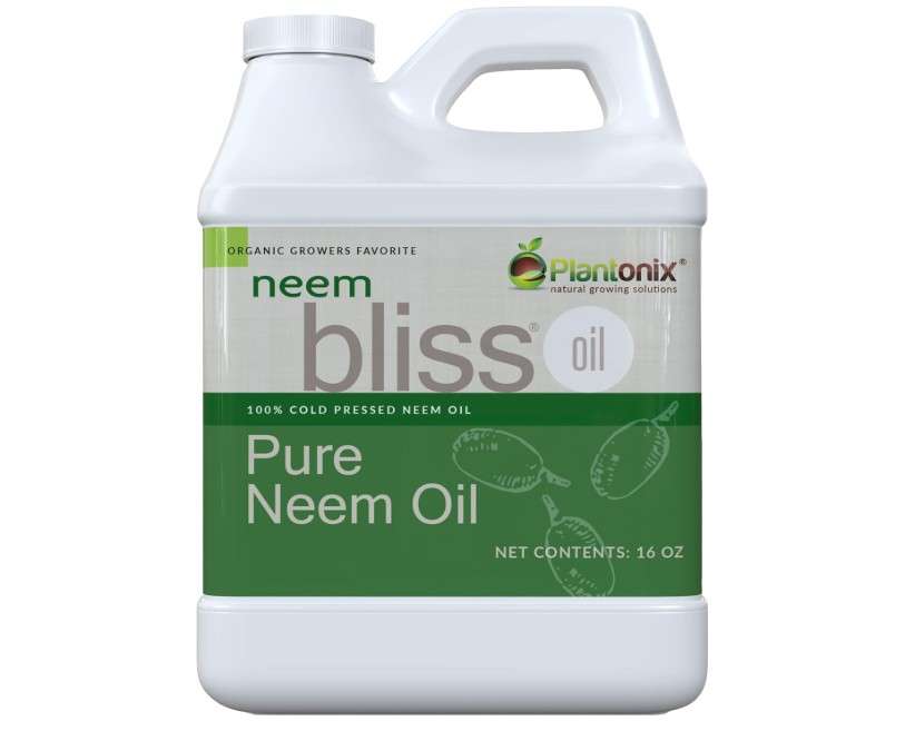 Neem Bliss (16 Fl Oz) - Pure Neem Oil Concentrate - 100% Cold Pressed Neem Oil - All-Natural Neem Oil Concentrate - Pure Neem Oil Extract - Unrefined Neem...