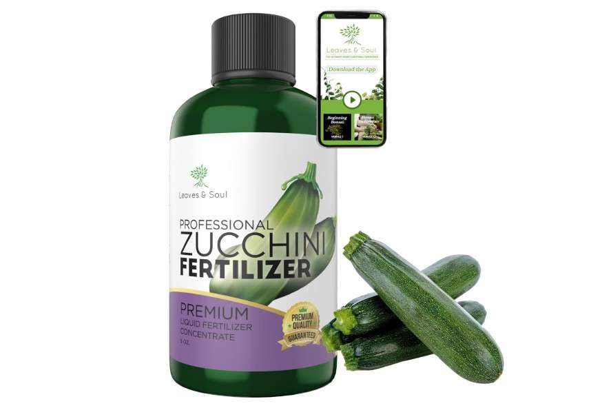  LEAVES AND SOUL Professional Liquid Zucchini Fertilizer | 5-1-5 Concentrate, Liquid Plant Fertilizer for Garden, Healthy Produce, Good Harvest