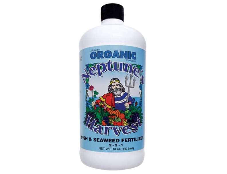  Neptune's Harvest Fish & Seaweed Fertilizer 2-3-1, 18 Ounce