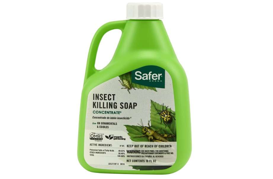  Safer 5118-6 Insect Killing Soap Concentrate - Insecticidal Soap for Plants - Kills Aphids, Whiteflies, Thrips, Spider Mites, and More - OMRI Listed 