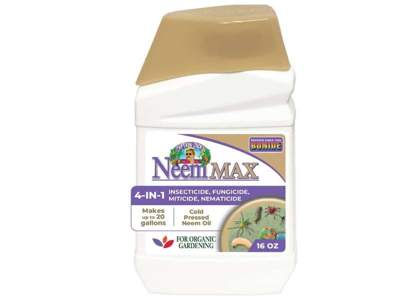  Bonide Captain Jack's Neem Max, 16 oz Concentrated Cold Pressed Neem Oil, Multi-Purpose Insecticide, Fungicide, Miticide, and Nematicide for Organic