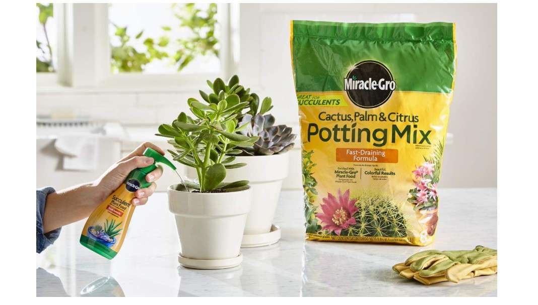 
Miracle-Gro Cactus, Palm & Citrus Potting Mix and Succulent Plant Food - Bundle of Potting Soil (8 qt.) and Liquid Plant Food (8 oz.) for Growing