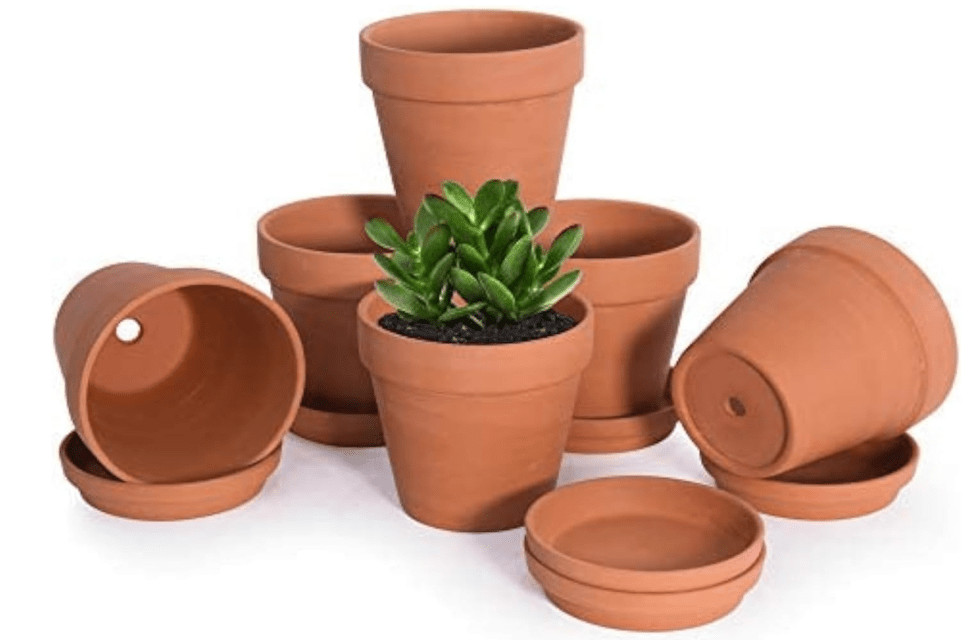 
D'vine Dev Pack of 6 Terracotta Pots with Saucers, 4 Inches Terra Cotta Pots with Tray, Clay Pots for Plants & Succulents, Terracotta