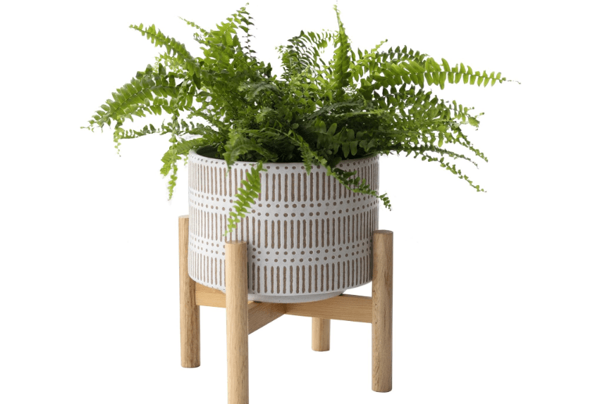 
LA JOLIE MUSE Ceramic Plant Pot with Wood Stand - 7.3 Inch Modern Round Decorative Flower Pot Indoor with Wood Planter Holder, Beige and White