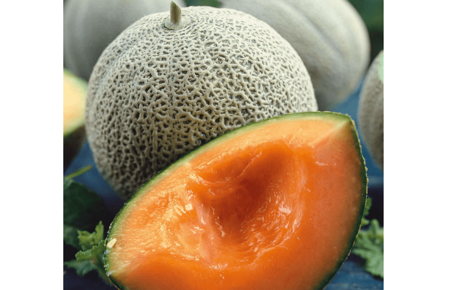 
Eden Brothers Melon Seeds - Honey Rock