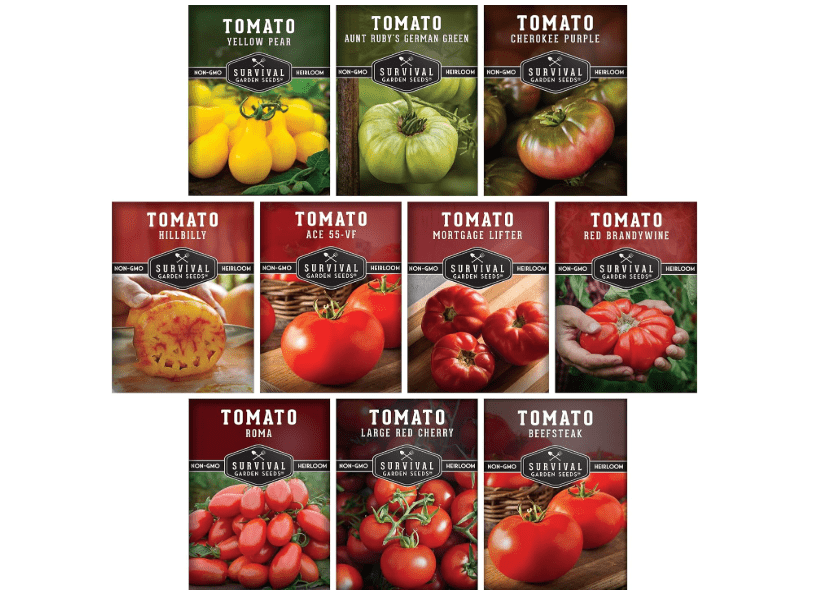 
Survival Garden Seeds 10 Tomato Collection - Cherokee Purple, Roma, Red Cherry, Aunt Ruby's Green, Hillbilly, Yellow Pear, Mortgage Lifter, Red.