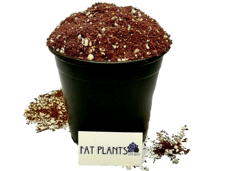  Fat Plants San Diego Premium Cacti and Succulent Potting Mix Soil - for Cactus Palm Tree Citrus Plant Grown in Gardening Containers - Indoors
