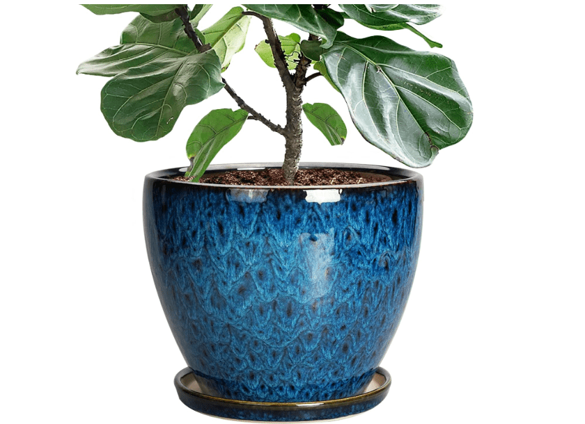 
EPFamily 10 Inch Ceramic Planter Pot Round Plant Pot for Indoor Plants Outdoor Large Flower Pot with Drainage Hole and Saucer Blue