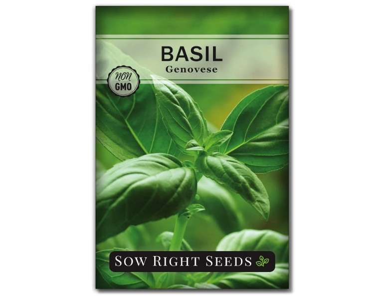 
Sow Right Seeds - Genovese Sweet Basil Seed for Planting - Non-GMO Heirloom Packet with Instructions to Plant and Grow a Kitchen Herb Garden - Indoors