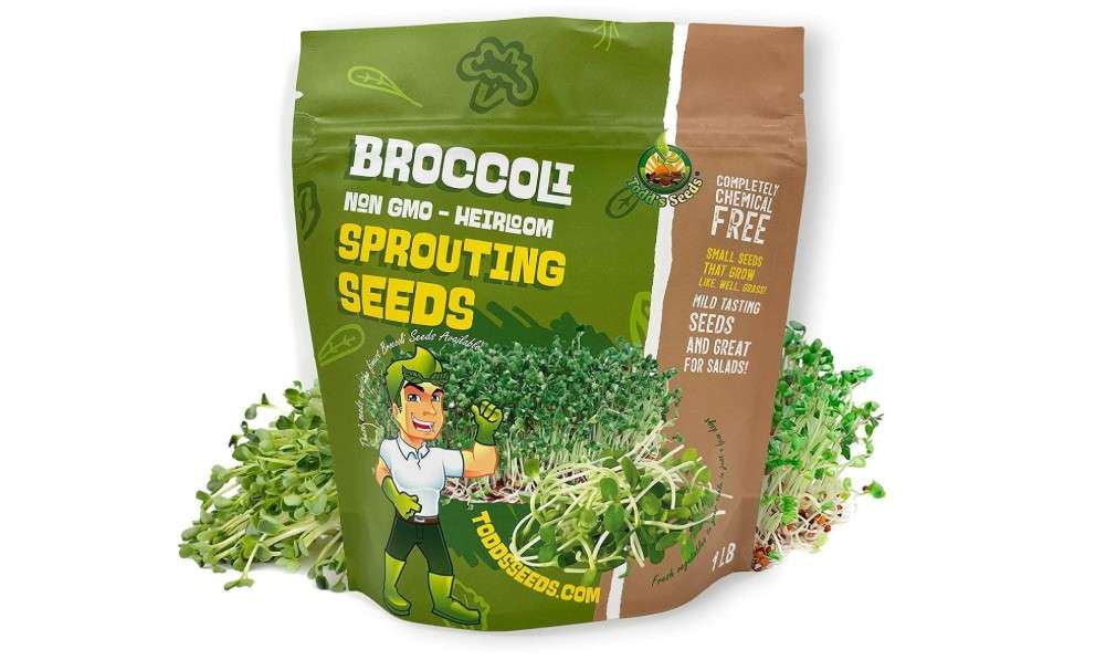  Todd’s Seeds - Sprouting Broccoli Seeds - Calabrese Variety, Non-GMO, Heirloom - 2.5 Pound - Bulk Seeds