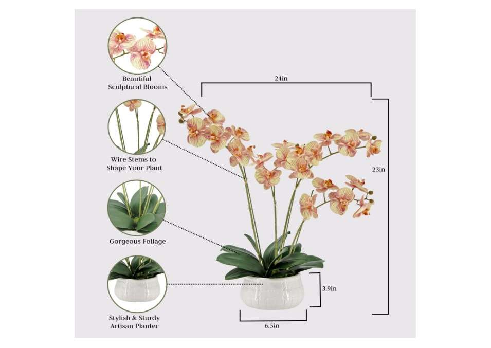  CG Hunter Faux Orange Orchid Plant, Premium Artificial Indoor Flower Display Stands 23”, Beautiful Sculptural Blooms That Lasts Forever, White Planter Pot