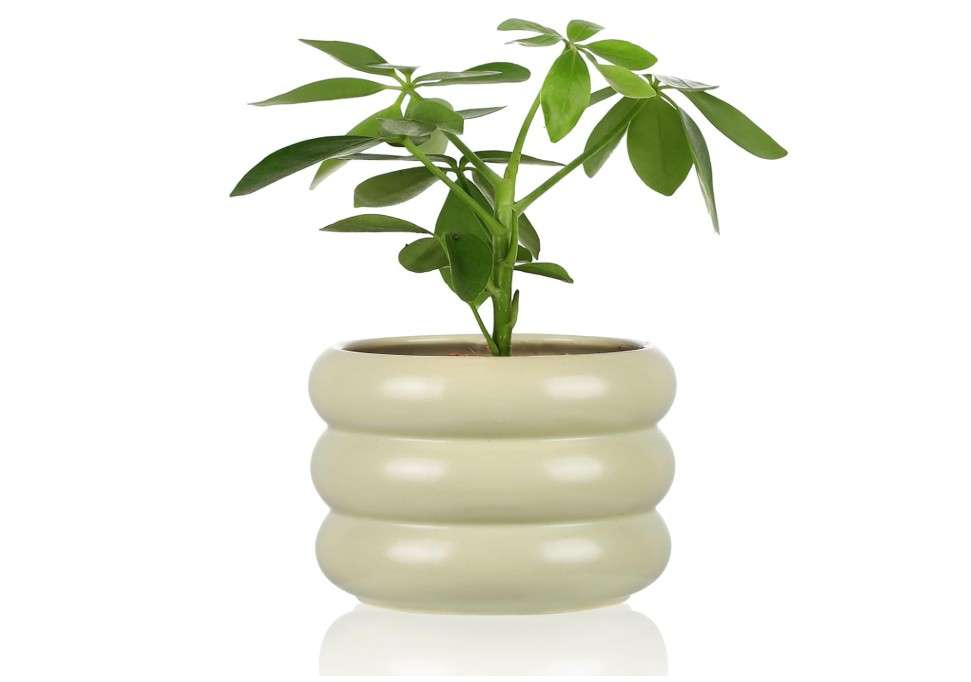 
VanEnjoy Small Plant Pots for Indoor Plants and Succulent Ceramic Planter with Drainage Hole Green Unique Pots for Plants Cute and Modern Planter for Home.