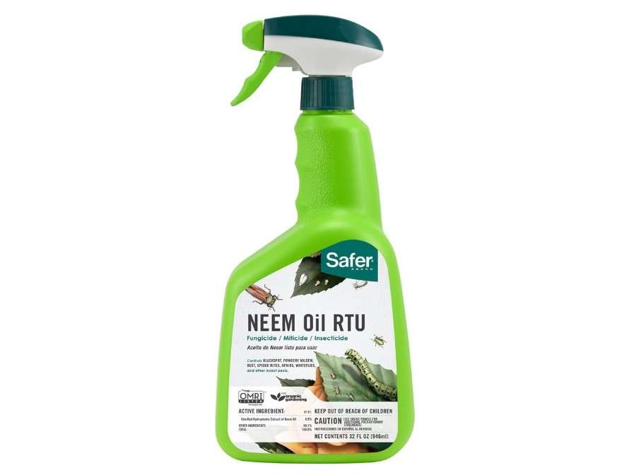 
Safer Brand 5180-6 Ready-to-Use Insect Killing, Fungicide and Miticide Neem Oil Spray