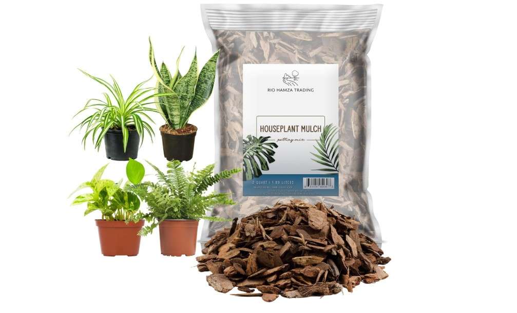 
Houseplant Mulch (2 Quarts), Small Bark Wood Chips for Indoor, Patio, Potting Media, and Much More
