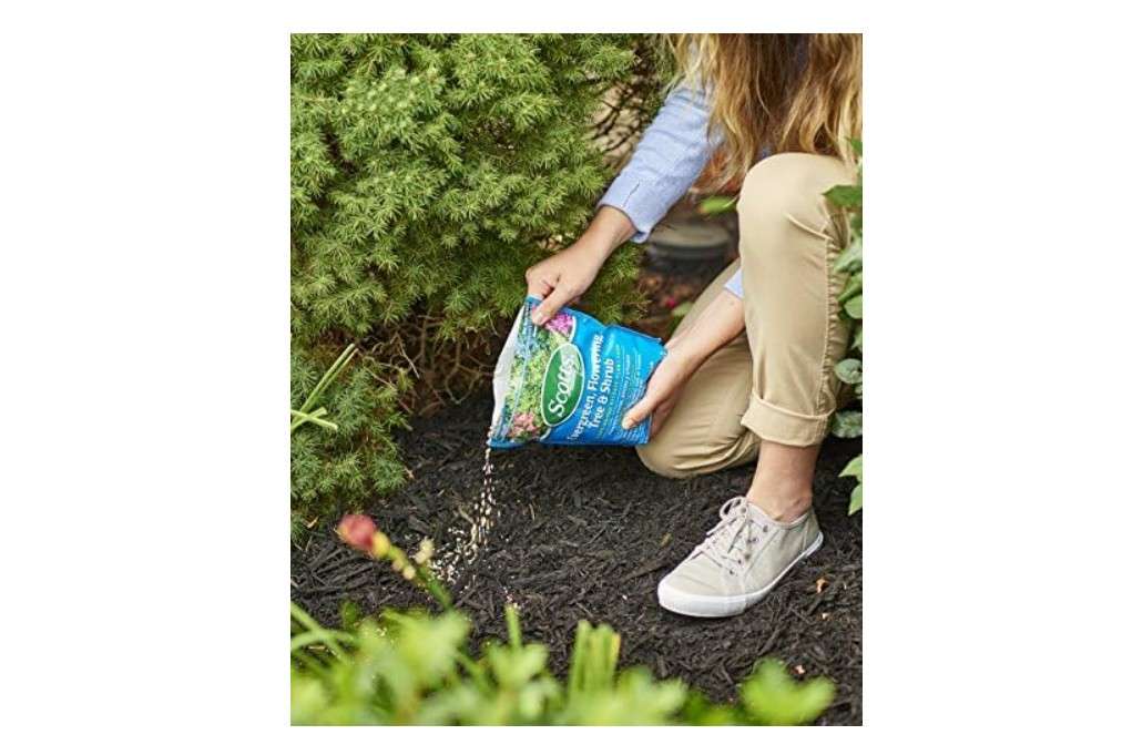  Scotts Evergreen, Flowering Tree & Shrub Continuous Release Plant Food, Plant Fertilizer, 3 lbs. (6-Pack) 