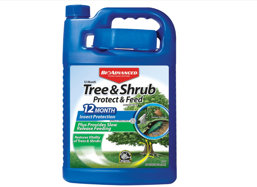 BioAdvanced 12 Month Tree and Shrub Protect and Feed, Concentrate, 1 Gal, Insect Killer and Fertilizer & Plant Food