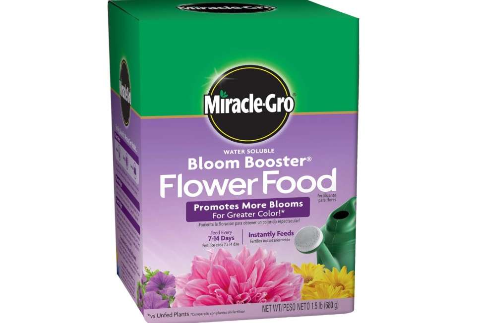 
Miracle-Gro Water Soluble Bloom Booster Flower Food, Plant Food for Annual and Perennial Flowers, In-Ground and Container Plants, Roses, Hydrangeas,