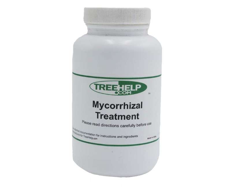 TreeHelp Annual Care Kit for Japanese Maple Tree