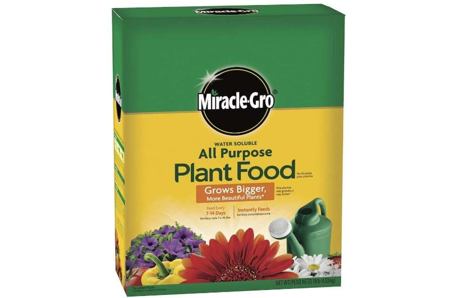  Miracle-Gro Water Soluble All Purpose Plant Food, Plant Fertilizer for Indoor or Outdoor Plants, Roses, Flowers, Houseplants, Vegetables and Trees, 10 lb.
