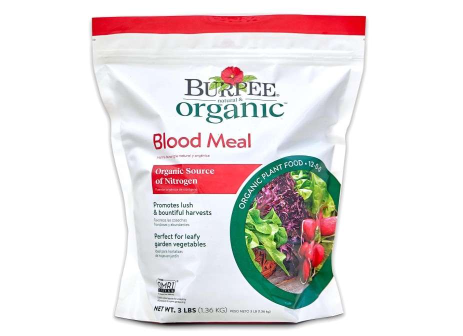  Burpee Organic Blood Meal Fertilizer | Add to Potting Soil | Excellent Natural Source of Nitrogen | for Tomatoes, Spinach, Broccoli, Leafy Greens | 3 lb, 1-Pack