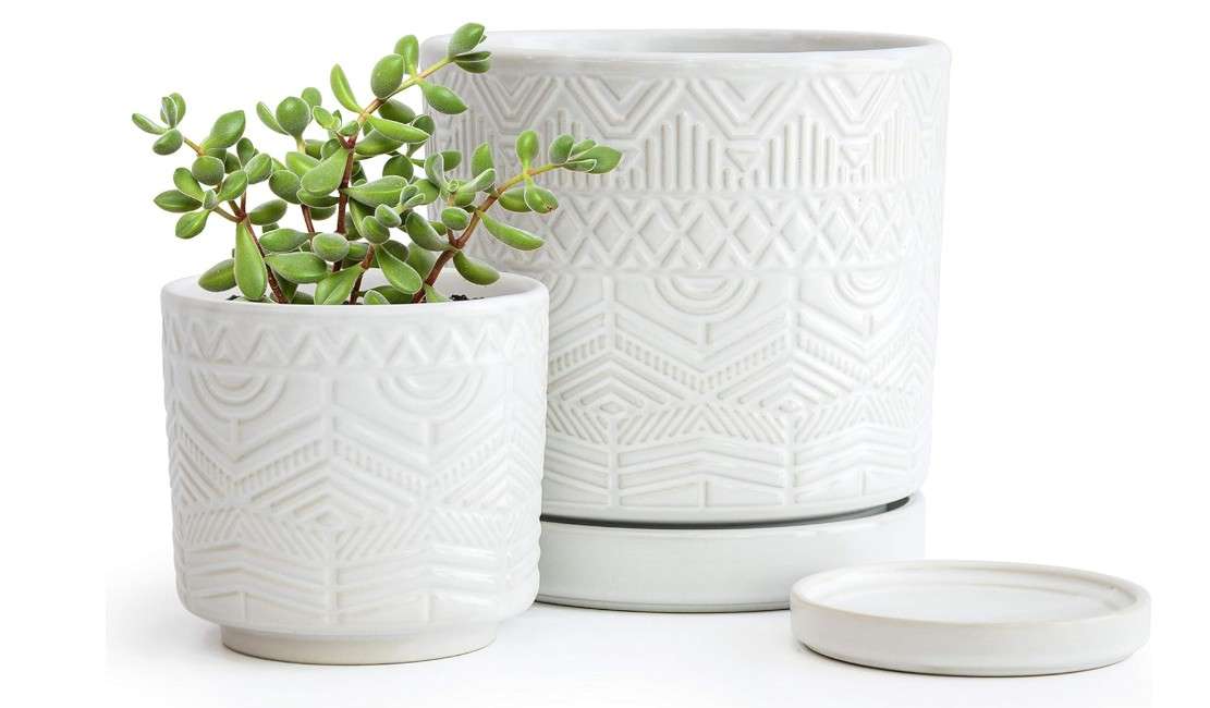  D'vine Dev Set of 2 Modern Matte White Floral Embossed Ceramic Planter Pot with Saucer and Drainage Hole, 4 Inch & 6 Inch, 99-C-1-M