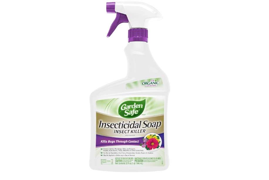  Garden Safe 32 oz. Insecticidal Soap Ready-to-Use, 1 Count (Pack of 1)