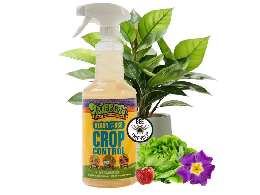 
Trifecta Crop Control Ready to Use Maximum Strength Natural Pesticide, Fungicide, Miticide, Insecticide, Help Defeat Spider Mites, Powdery Mildew, Botrytis