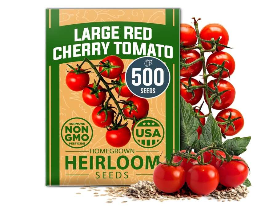  HOME GROWN Large Red Cherry Tomato Seeds Pack– 500 High Germination Heirloom Seeds – 𝗡𝗢𝗡-𝗚𝗠𝗢 𝗨𝗦𝗔 Vegetable Seeds for Garden,Homestead 