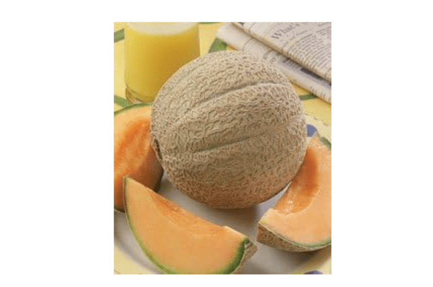 
Cantaloupe Hearts of Gold Great Heirloom Vegetable by Seed Kingdom 