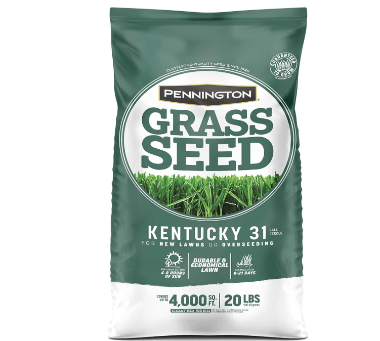 
Pennington Kentucky 31 Tall Fescue Grass Seed