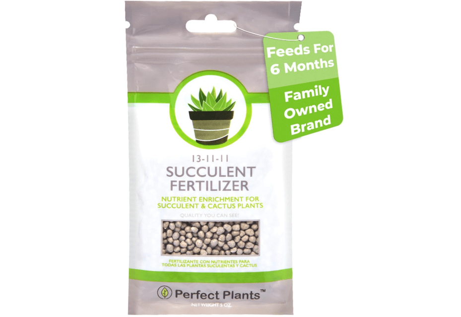 
Succulent and Cactus Fertilizer in 5oz. Bag | Long Lasting Gentle Plant Food Formula for All Live Succulents, Cacti, and Other Desert Houseplants