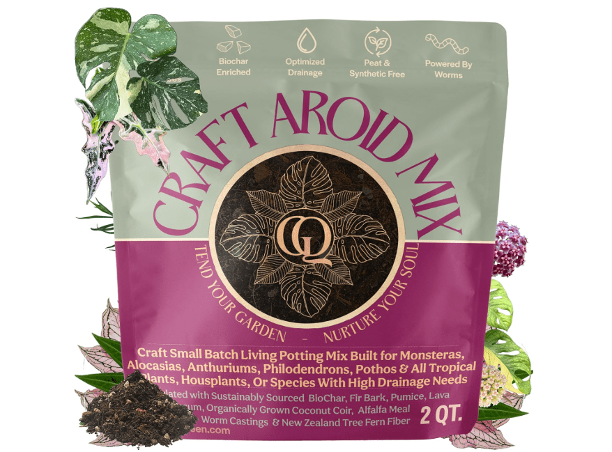 
Grow Queen Craft Aroid Potting Mix- Elite Alocasia, Philodendron, Monstera Soil Mix, Chunky, Well Draining Potting Soil for Indoor Plants, All Tropical