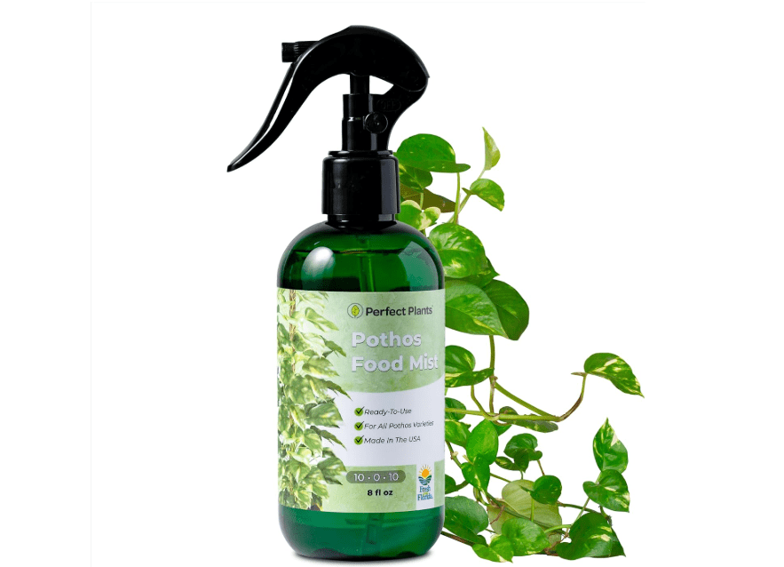 
Pothos Spray Fertilizer by Perfect Plants | Liquid Plant Food for Potted Indoor Pothos | Foliage Growth Booster Balanced Phosphorus Free NPK Ratio 