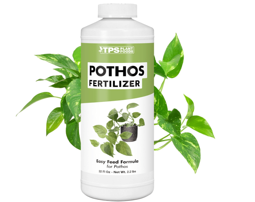 
TPS NUTRIENTS Pothos Fertilizer for All Pothos Plants and Vines, Liquid Plant Food, 32 oz (1 Quart)

