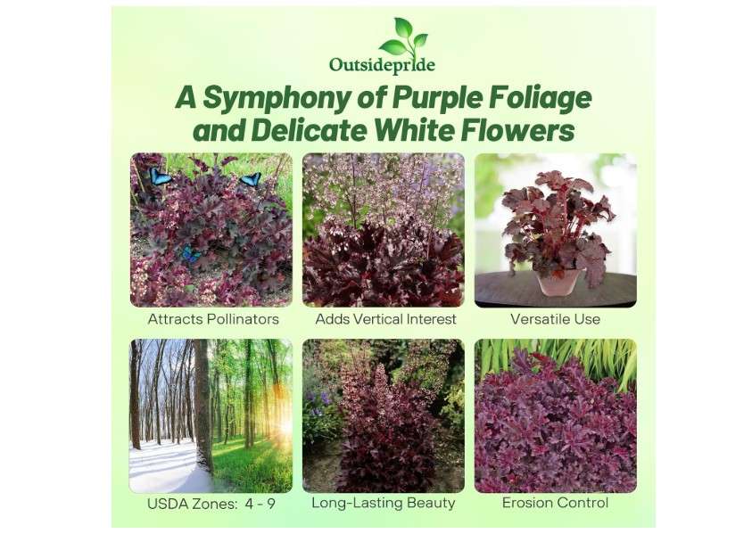 
Outsidepride Coral Bells Melting Fire Heuchera Seeds - 50 Pcs Perennial Flower Seeds for Planting with Bell-Shaped Blooms & Colorful Foliage for Borders