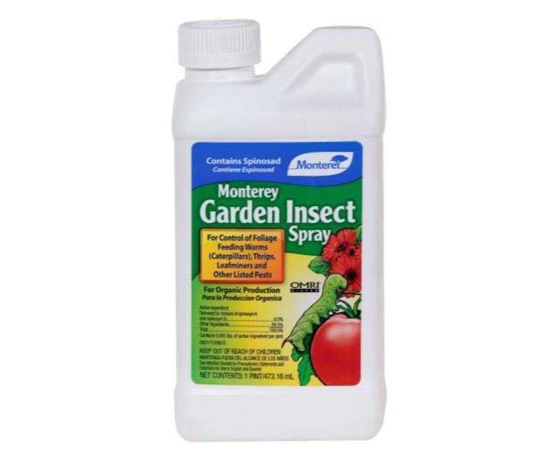 
Monterey LG6150 1 Pint Monterey Garden Insect Spray Concentrate