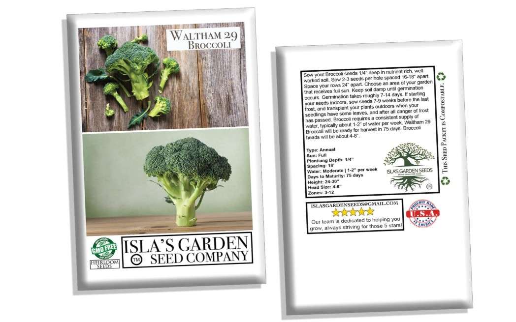  Waltham 29" Broccoli Seeds for Planting, 300+ Heirloom Seeds Per Packet, (Isla's Garden Seeds), Non GMO Seeds, Botanical Name: Brassica oleracea