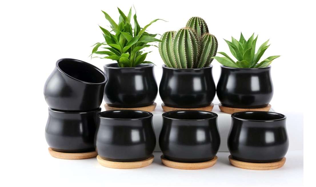 
SHECIPIN 8 Pack Succulent Plant Pot, Matte Black Mini 2.6 inch Ceramic Flower Planter Pot with Bamboo Tray, Small Pots for Plants, Plants Not Included