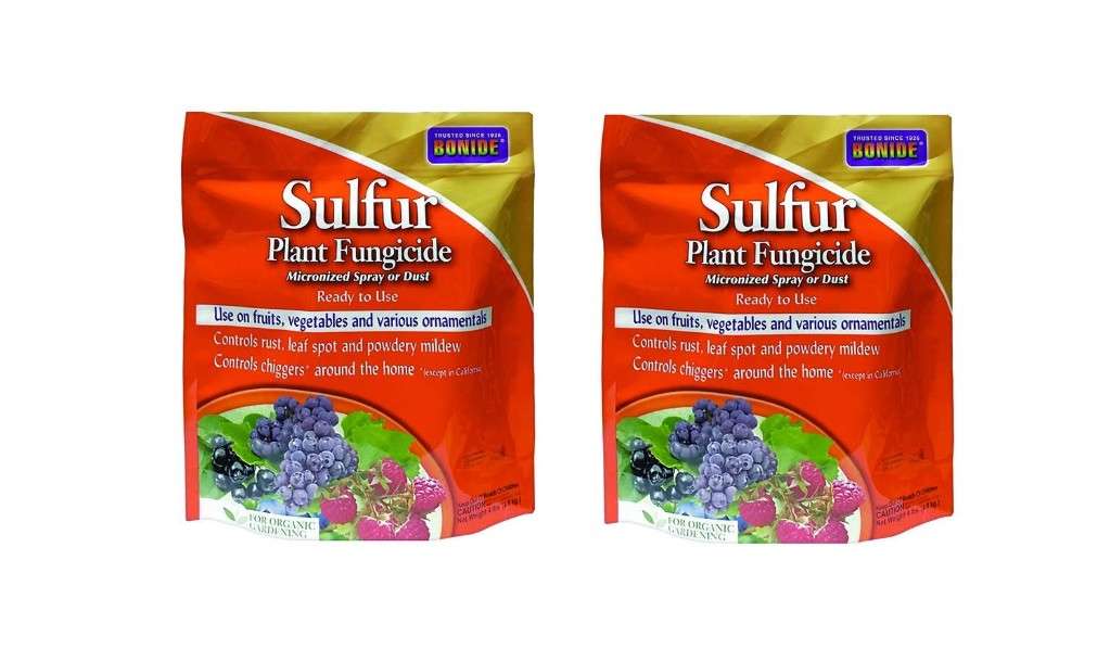 
BONIDE Products INC 142 Sulfur Plant Fungicide Organically Controls Rust, Leaf Spot and Powdery Mildew, 4 lbs (2)